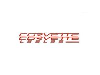 Chevrolet Engine Cover Decal Package - 19155950