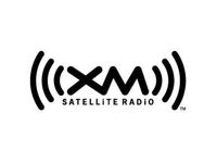 GM XM Satellite Radio - 12498768