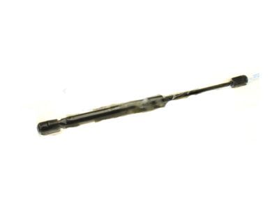 GM Trunk Lid Lift Support - 15843995