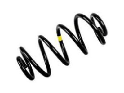 Buick Century Coil Springs - 22077724