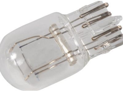 Cadillac Fog Light Bulb - 13591404