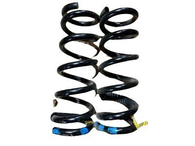 Chevrolet Express Coil Springs - 20760345