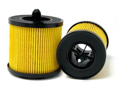 Buick Oil Filter - 19260345