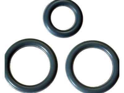 Hummer Fuel Injector O-Ring - 17113552