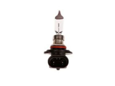 Chevrolet Fog Light Bulb - 15200611