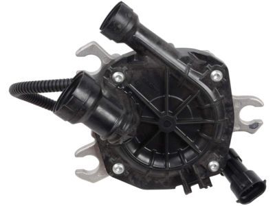 Chevrolet Secondary Air Injection Pump - 12600828