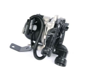 Chevrolet Secondary Air Injection Pump - 55569076