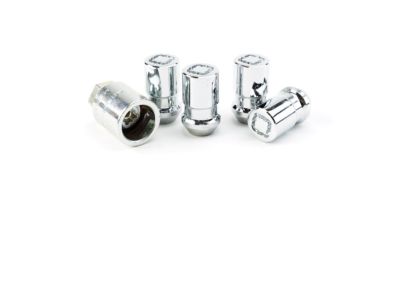 GM Wheel Lock Kit in Chrome 19211919