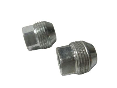 GM M14x1.5 Lug Nuts in Stainless Steel 19155564