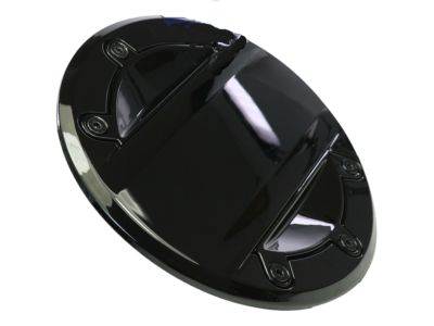 GM Fuel Filler Door in Black with Gloss Black Inserts 23506590