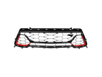 GM Lower Grille in Black with Pull Me Over Red Inserts and SS Emblem 84040593