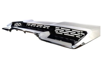 GM Hood Induction Assembly in Chrome 84802216