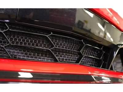 GM Corvette Z06 Front Grille Protective Screens by Scrape Armor® 19434021