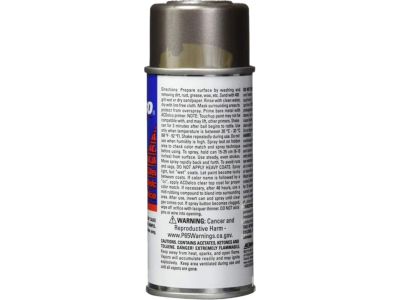 GM 19355112 Paint,Touch, Up Spray (5 Ounce)