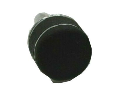 GM 22509532 Knob, Shift Lever