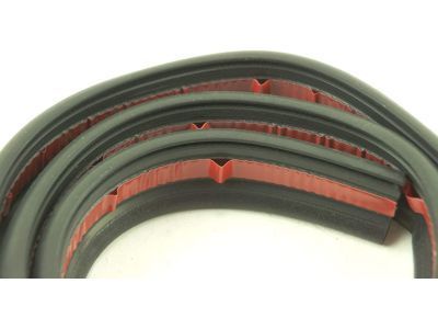 GM 15113133 Weatherstrip,Front Side Door Roof Drip