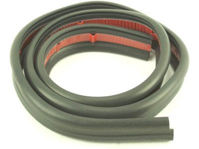 GM 15113133 Weatherstrip,Front Side Door Roof Drip