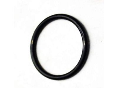 Chevrolet Express Fuel Injector O-Ring - 94013303