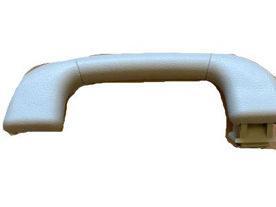 GM 96800992 Handle,Roof Rail Front Asst