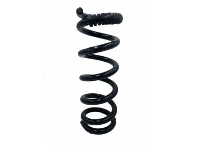 2015 Chevrolet Express Coil Springs - 20760344