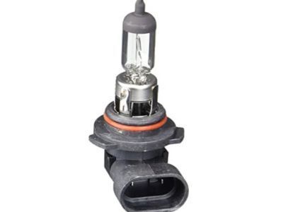 GM 19257054 Bulb Asm,Headlamp (Low Beam)