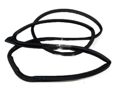 Chevrolet Spark EV Weather Strip - 95158823