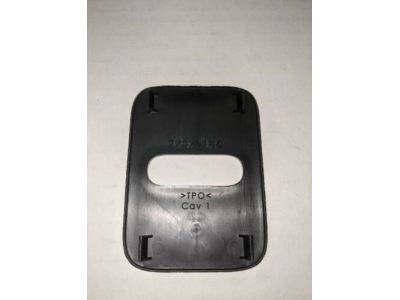 GM 22886542 Cover, Lift Gate Lock Striker *Black