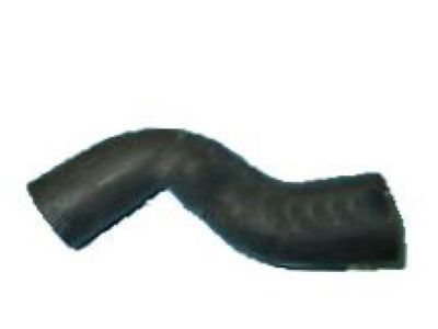 1992 Chevrolet Corvette Radiator Hose - 10258276