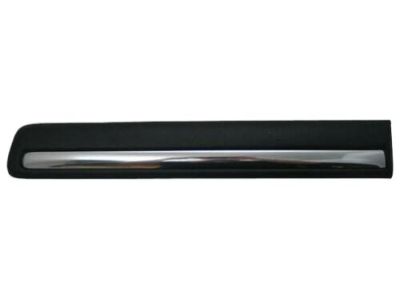 Chevrolet Blazer Door Moldings - 15713463