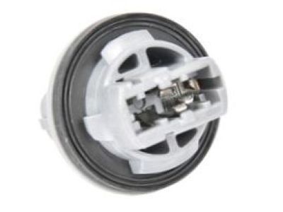 Chevrolet Traverse Light Socket - 95291965