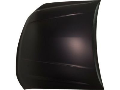 GM 84003121 Hood Asm (Chevrolet)