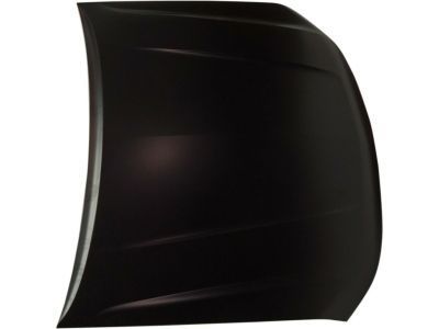 GM 84003121 Hood Asm (Chevrolet)