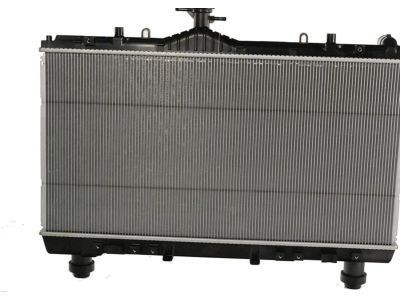 GM 22879423 Radiator Assembly