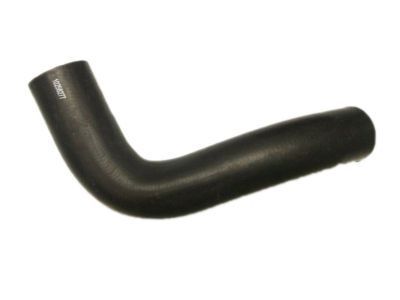 1994 Chevrolet Corvette Radiator Hose - 10258277