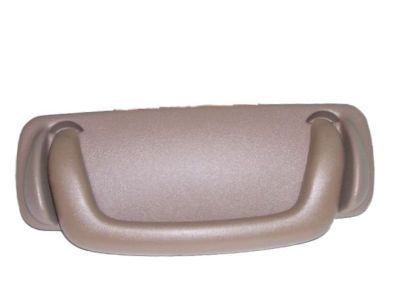 GM 12519073 Handle Assembly, Front Side Door Roof Rail Asst *Medium Beige