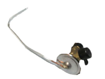 GM 52460952 Valve,Auxiliary A/C Evap Thermostat Expansion