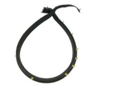 2018 Chevrolet Camaro Weather Strip - 84160283