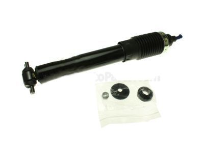 GM 19302775 Front Suspension Strut Kit