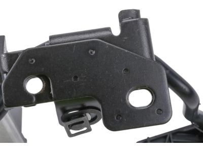 GM 24506358 Pedal Assembly, Accelerator (W/ Module & Position Sensor)