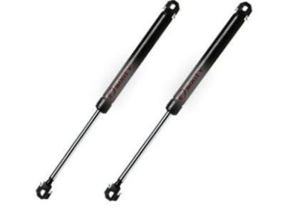 Oldsmobile Lift Support - 22522923