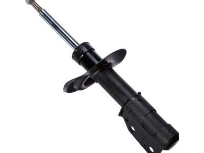 GM 19208029 Front Suspension Strut Kit