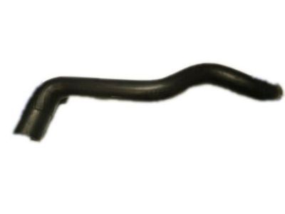 1994 Chevrolet Corvette Radiator Hose - 10257252