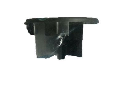 GM 15944366 Plug, Driver Seat Shoulder Belt Guide *Ebony