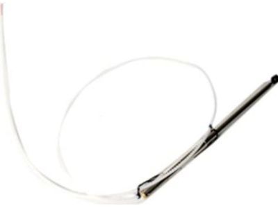 GM 10256439 Antenna,Radio Power(Mast Only)