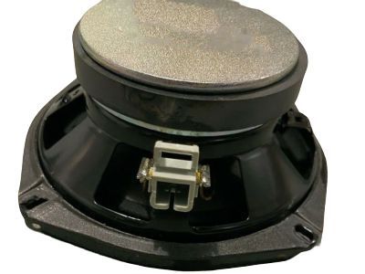 GM 84196280 Speaker Assembly, Radio Quarter