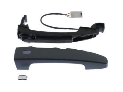 2018 Chevrolet Malibu Door Handle - 13521820