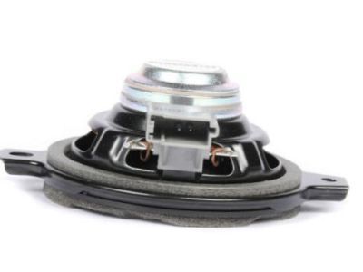 GM 20884480 Speaker Assembly, Radio Front