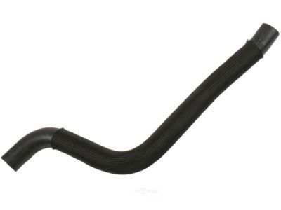 Pontiac G5 Radiator Hose - 15925391