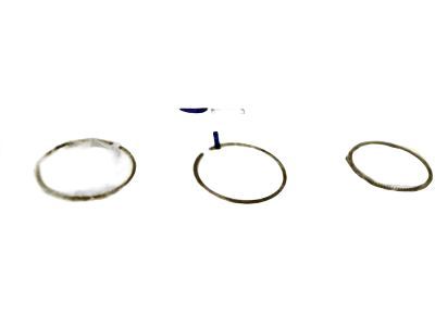 GM 55588455 Ring Kit,Piston