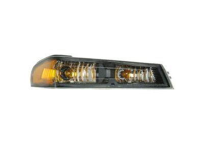 GM 19328955 Lamp Asm,Parking & Turn Signal